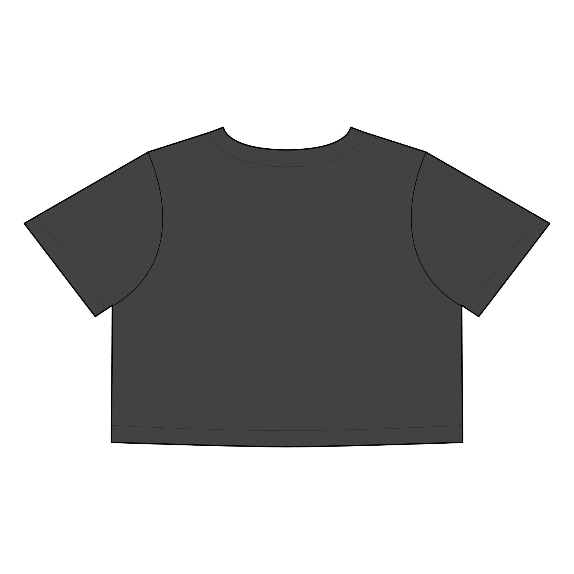 Women's Faded Crop Tee